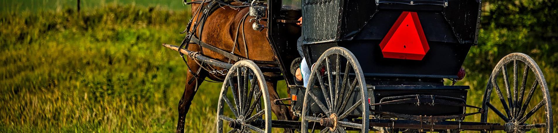 amish buggy